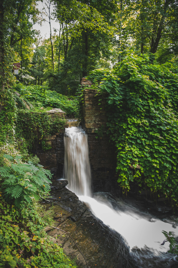 image of waterfall with greenery and trees all around. Set in a natural environment