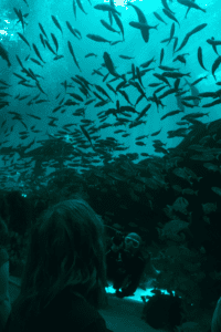 Valentine's Day Date Ideas Atlanta [Best City Spots]