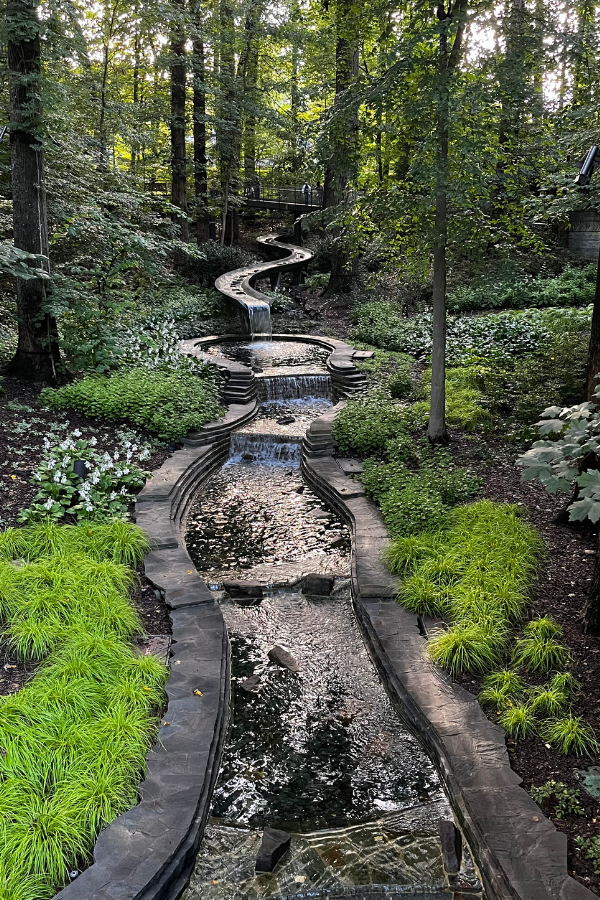 Image of a winding stream surrounded by greenery and tall trees at Atlanta Botanical Gardens.