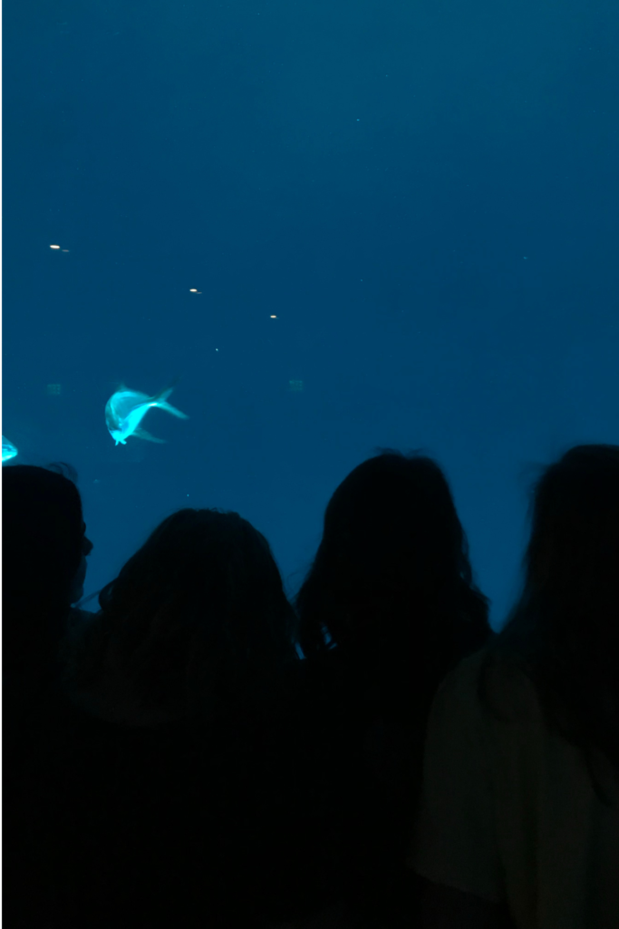 Image of people standing in front of an aquarium glass tank looking at fish in dim lighting at the Georgia Aquarium in Atlanta Georgia