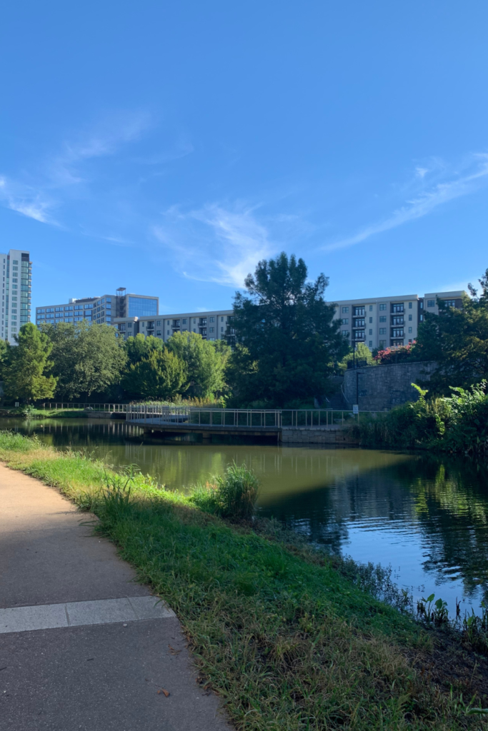 Image of a walkway on a sunny day in Old Fourth Ward Park. The image shows a walkway and a pond in the foreground with apartments and trees in the background.