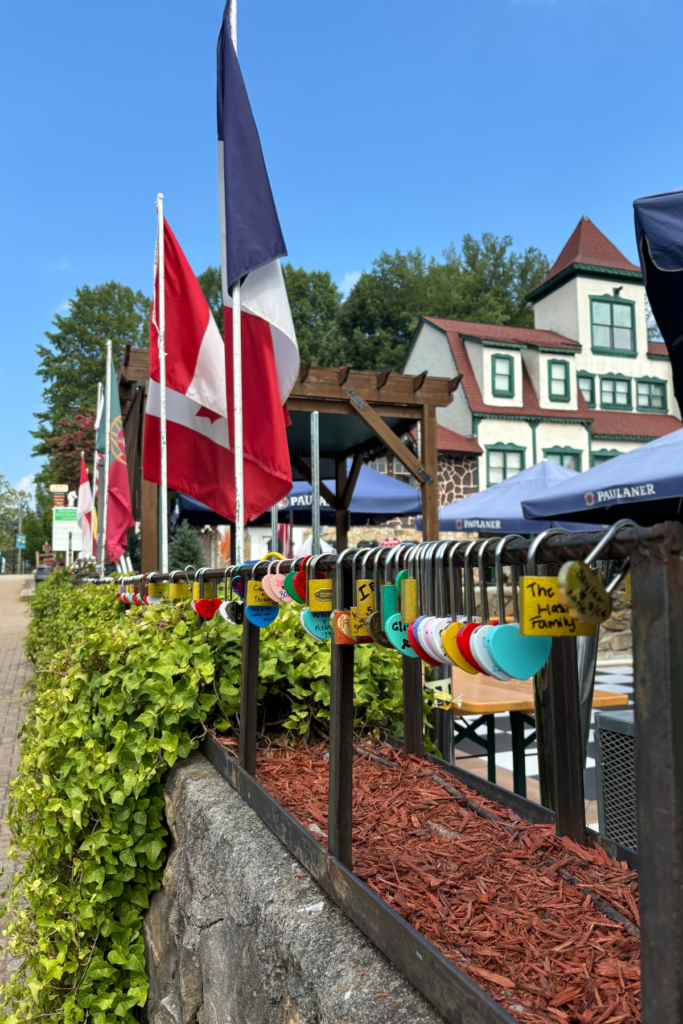 Image of Helen Georgia fence with locks on it