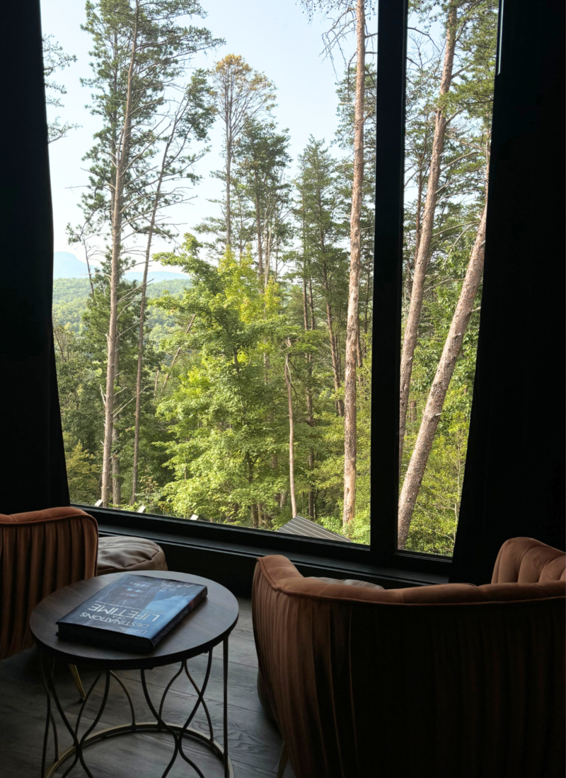 view from interior of Yonah Suite at Image of woman sitting at kitchen counter in Yonah Suite, at Viking Hilltop Suites overlooking the Chattahoochee National Forest beyond