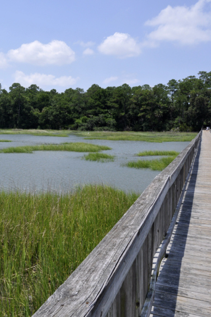 On your road trip from Charleston SC to Hilton Head SC be sure to stop at the marshes along Hilton Head Island