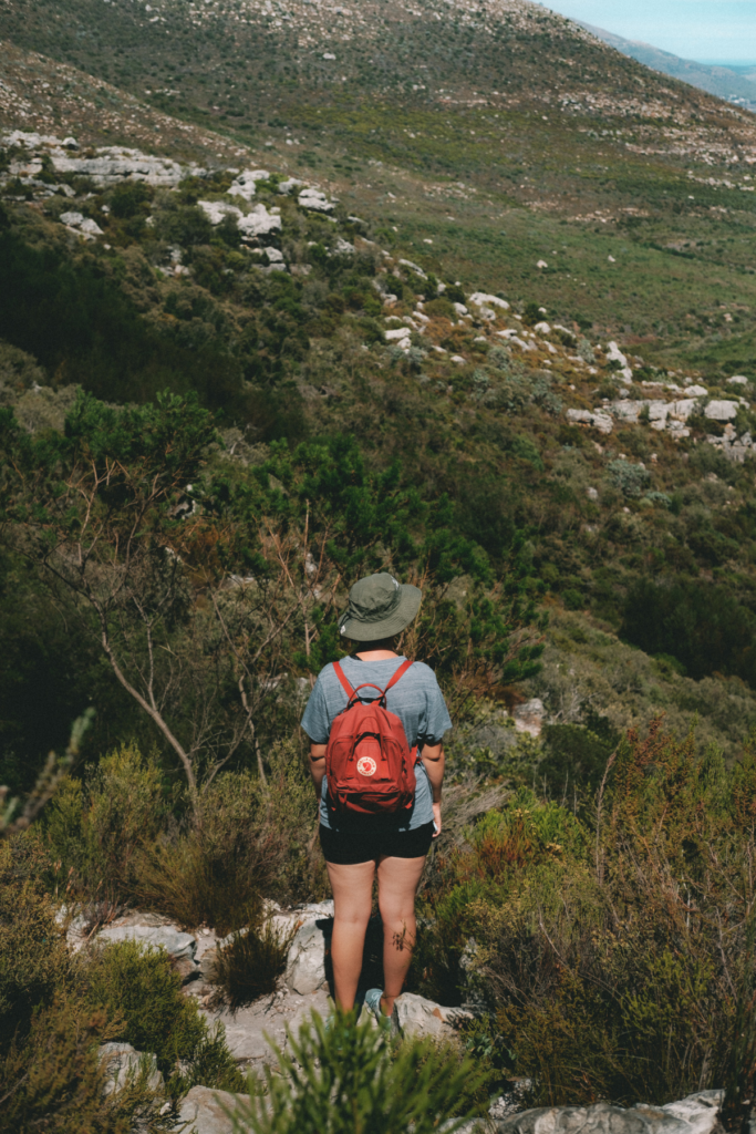 Image of person standing facing away from camera with small backpack looking at an outdoor view