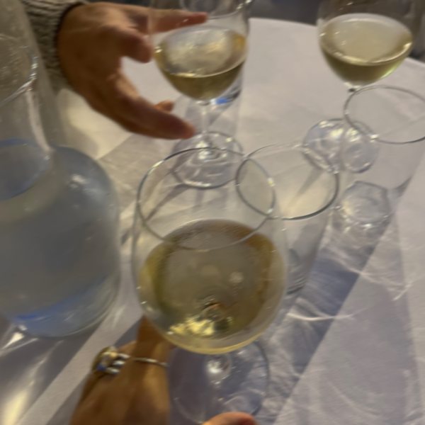 image of wine glasses with white wine during a tour of Helen Georgia wineries and vineyards