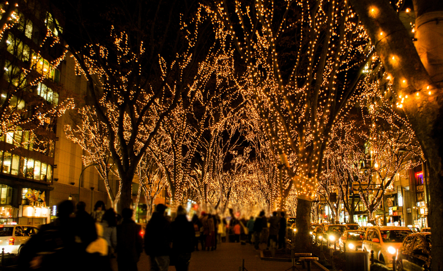 Image of trees decorated with yellow Christmas lights in Atlanta Georgia.