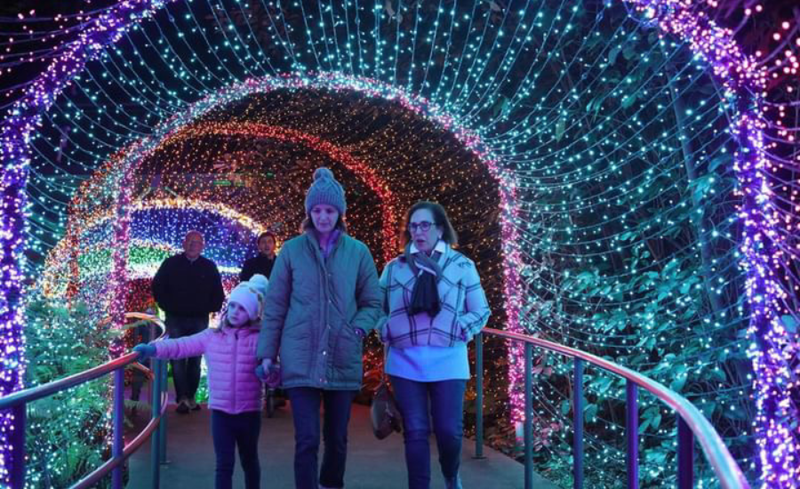 Image of the Atlanta Botanical Gardens adorned in blue, green, and purple Christmas lights, and lit tunnel in foreground with women walking through.