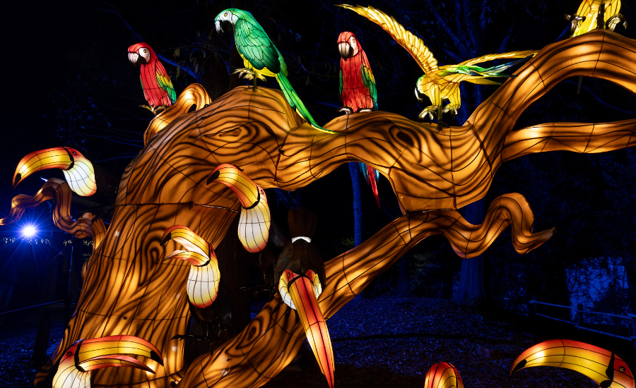 Image of light display shaped like parrots in a tropical tree at Zoo Atlanta during Zoo Lights in December.