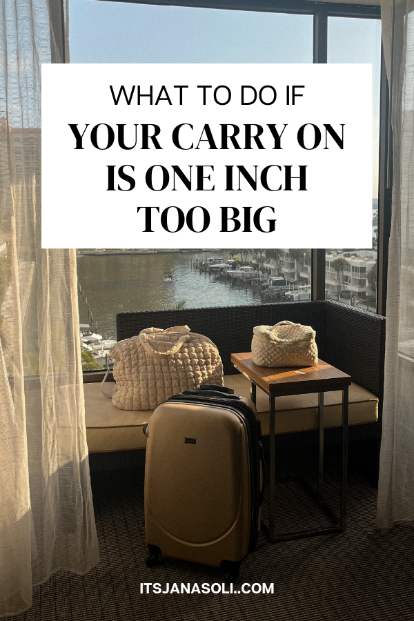 an image of carry on bags in hotel room overlooking a city