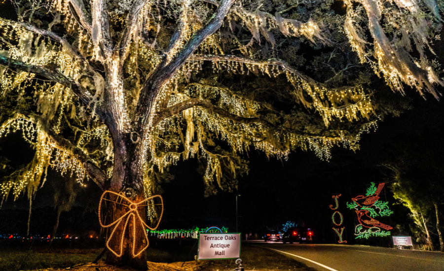 Charleston Holiday Lights event during Christmas in Charleston SC