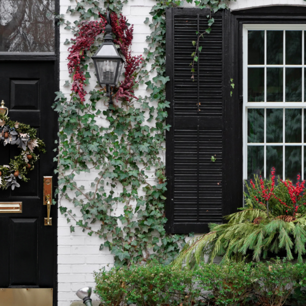 Christmas in Charleston SC [Events and Holiday Activities]