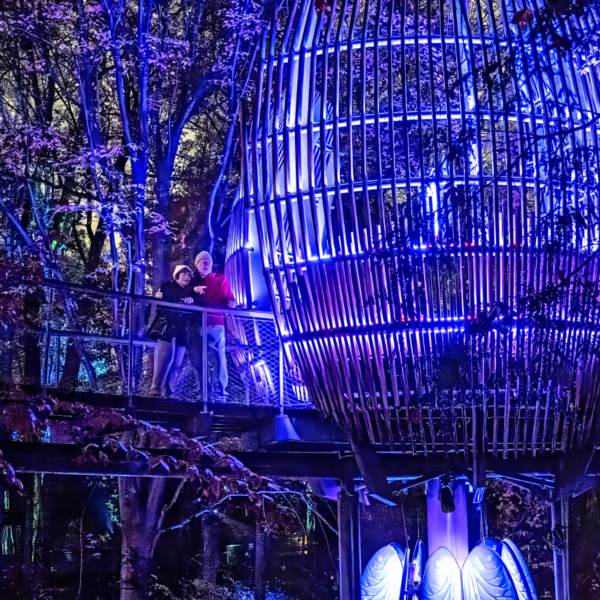 Image of couple looking at display inside Fernbank Forest AGLOW event.