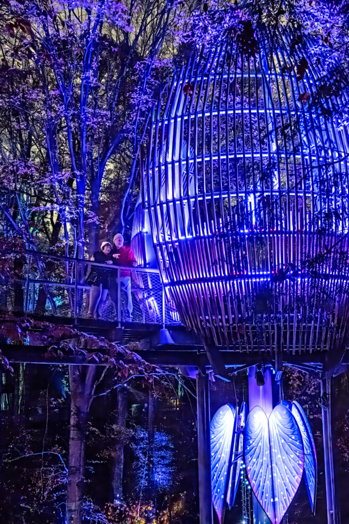 Image of couple looking at display inside Fernbank Forest AGLOW event.