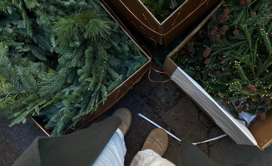 First person point of view looking at shoes and boxes of pine trees in Charleston SC at Christmas.