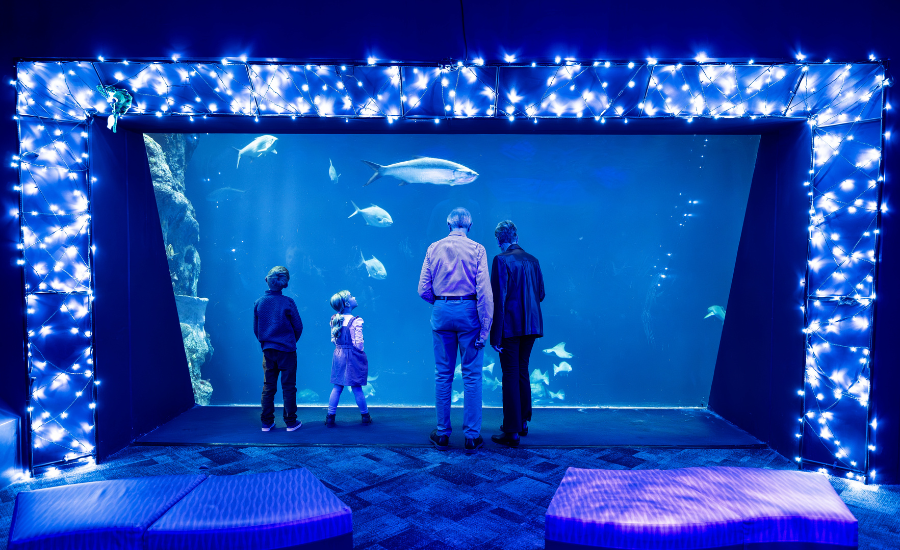 People in front of large fish aquarium with Christmas lights in Charleston SC.