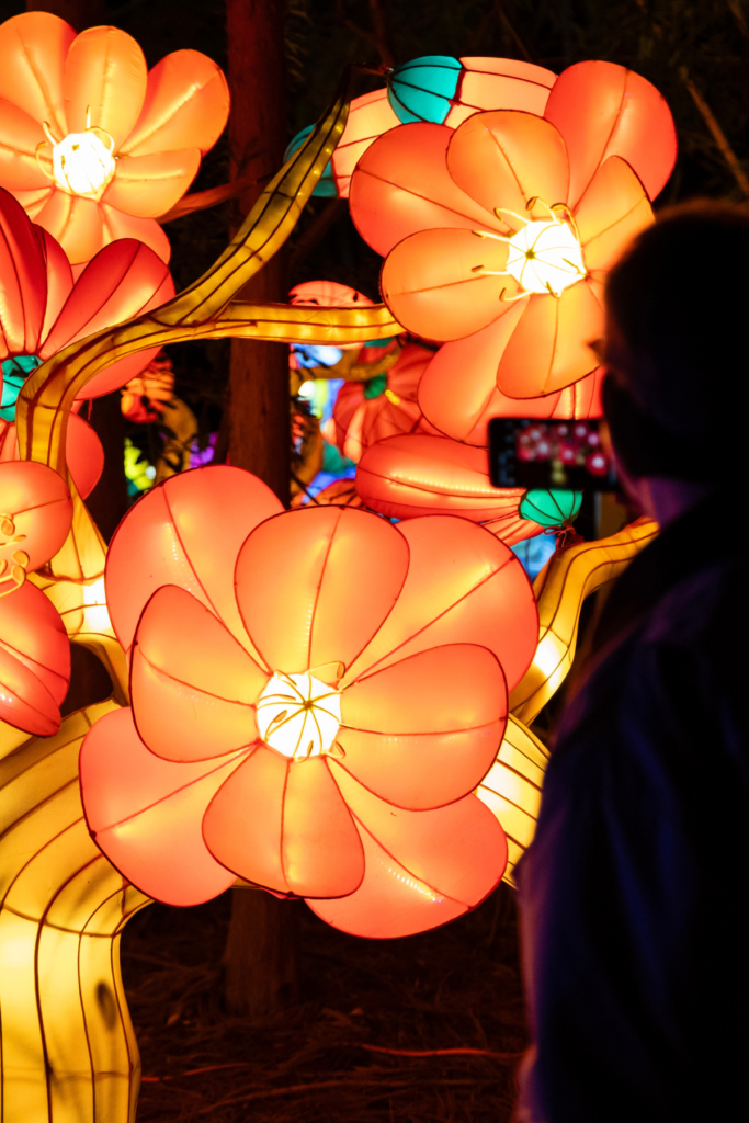 Floral holiday lights at Zoo Atlanta in January.