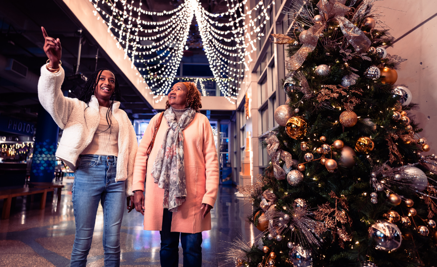 People walking by Christmas tree in Charleston SC.