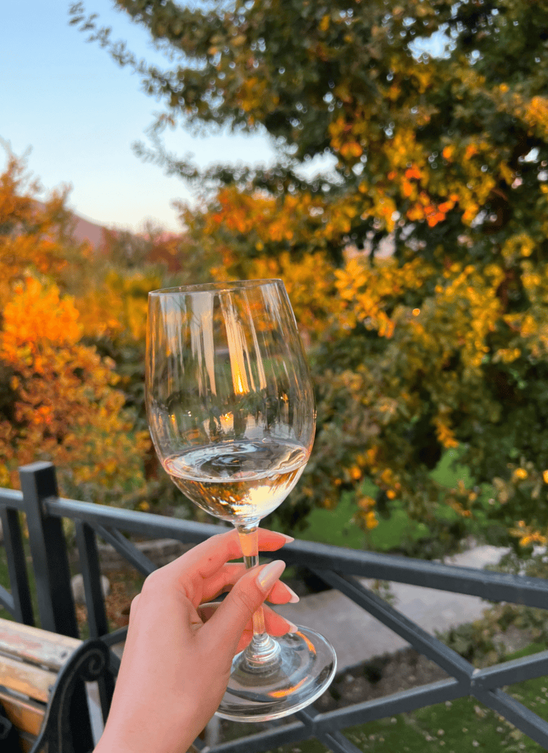 Dahlonega Georgia Wineries [9 Top Wineries & Vineyards 2025]