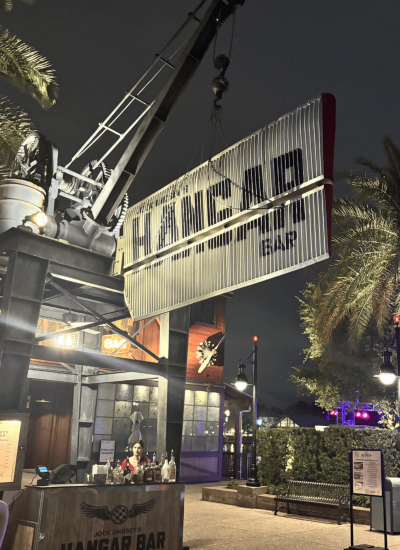 The Best Disney Springs Bars (2026 Favorite Spots)
