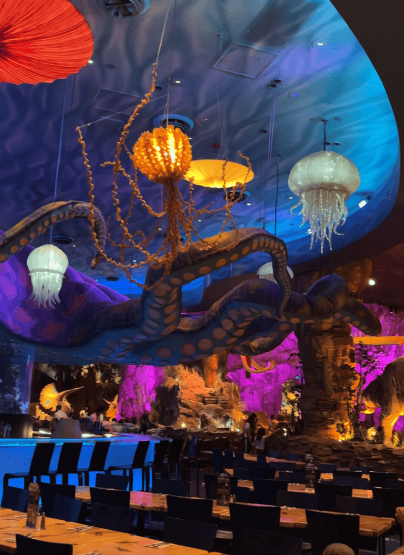 The 7 Best Things to Do in Disney Springs at Night (2026)